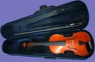 Gliga Genial 1 4/4 - Ex Rental